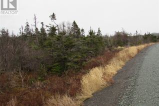 Commercial Land for Sale, 138-170 Salmonier Line, Holyrood, NL