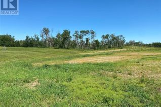 Commercial Land for Sale, Blk B, Rm Of Duck Lake Lot, Duck Lake Rm No. 463, SK