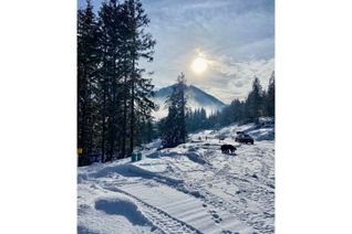 Vacant Residential Land for Sale, Lot 7 Upper Ridge Road, Rossland, BC