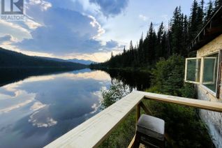 Property for Sale, Block A Chisel Lake, Wells, BC