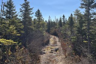 Land for Sale, Lot Bald Rock Road, Bald Rock, NS