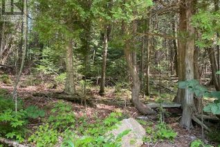 Land for Sale, 0 Cross Country Rd, Bancroft, ON
