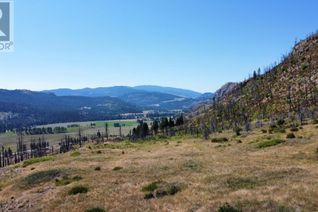 Vacant Residential Land for Sale, Lot 1406 Hwy 33, Rock Creek, BC