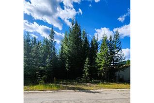 Land for Sale, 12 Dogwood Place, Elkford, BC