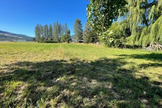 Land for Sale, 430 Ninth Avenue, Midway, BC