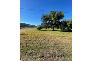 Land for Sale, 420 Ninth Avenue, Midway, BC