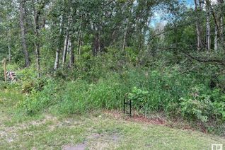 Land for Sale, Rr#1, Rural Wetaskiwin County, AB