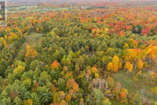 Land for Sale, 0 Scotch Settlement Rd, Madoc, ON