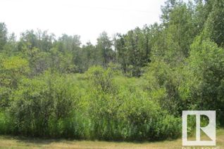 Land for Sale, 398 52152 Rr 210, Rural Strathcona County, AB