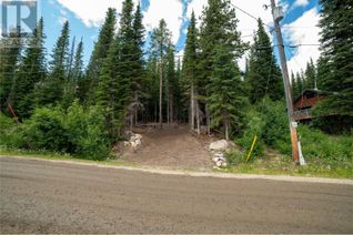 Vacant Residential Land for Sale, 145 Cougar Road, Oliver, BC