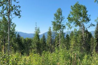 Land for Sale, 1827s Morrissey Creek Rd, Grand Forks, BC