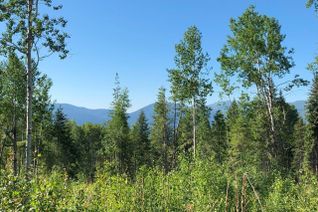 Vacant Residential Land for Sale, 1827s Morrissey Creek Rd, Grand Forks, BC