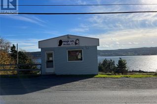 Commercial/Retail Property for Sale, 133 Water Street, Carbonear, NL