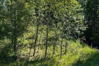 Land for Sale, Lot R3 Westridge Road, Rural Woodlands County, AB