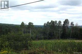 Property for Sale, 000 620 Route, Tay Creek, NB