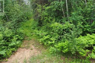 Land for Sale, Lot 9-10 Lumsden Road, Chelmsford, ON