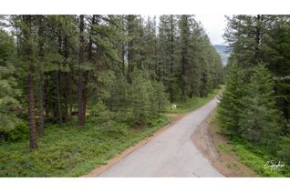 Land for Sale, Lot 30 Mountain View Road, Christina Lake, BC