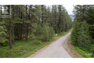 Commercial Land for Sale, Lot 30 Mountain View Road, Christina Lake, BC