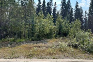 Vacant Residential Land for Sale, 23 Douglas Crescent, Elkford, BC