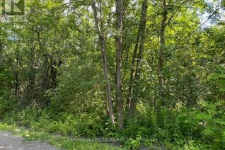 Commercial Land for Sale, B3 Old Shelter Valley Road, Cramahe, ON