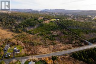 Property for Sale, 0 Foley's Hill, South River, NL