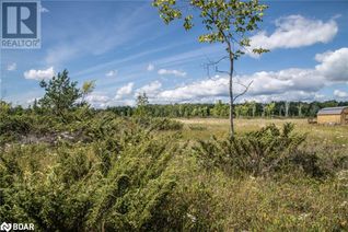 Commercial Land for Sale, Lot 250 Mcguire Beach Road, Kawartha Lakes, ON