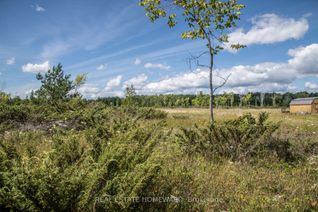 Vacant Residential Land for Sale, LOT 250 McGuire Beach Rd, Kawartha Lakes, ON