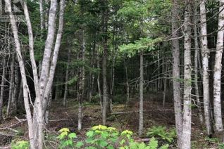 Commercial Land for Sale, 76-2 Route 134, Galloway, NB