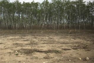 Commercial Land for Sale, 220 7th Avenue, Preeceville, SK