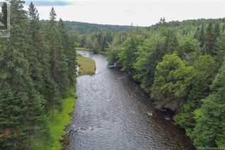 Land for Sale, 499 565 Route, Johnville, NB