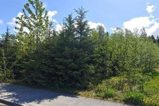 Land for Sale, 117 Wakita Avenue, Kitimat, BC