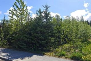 Commercial Land for Sale, 117 Wakita Avenue, Kitimat, BC