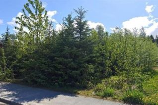 Land for Sale, 117 Wakita Avenue, Kitimat, BC