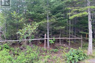 Commercial Land for Sale, 33-39 Long Pond Road, Brigus, NL