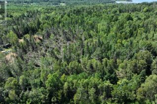 Land for Sale, St. Marys Bay, Gaspereau, PE