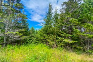 Land for Sale, 0 Millers Road, New Harbour, NL