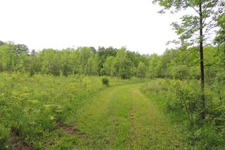 Vacant Residential Land for Sale, Ptlt 11 Sideroad 10 Rd, Chatsworth, ON