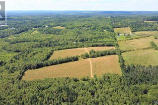 Land for Sale, - Route 127, Waweig, NB