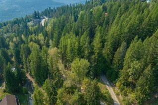 Property for Sale, 2009 Happy Valley Road, Rossland, BC