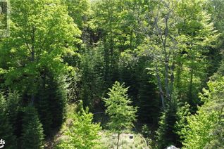 House for Sale, 1709 Highway 60, Huntsville, ON