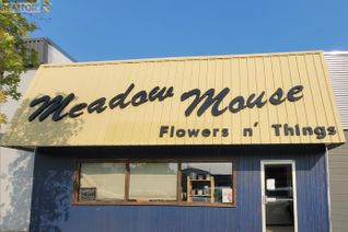 Commercial/Retail Property for Sale, 224 Centre Street, Meadow Lake, SK
