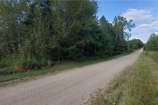 Commercial Land for Sale, Schimmens Pin 57505047 Road, Quadeville, ON