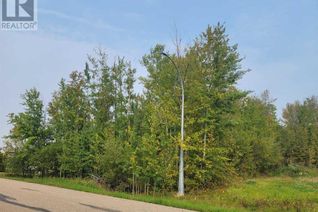 Land for Sale, 5404 Spruce Avenue, Wandering River, AB