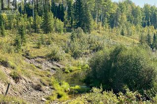 Land for Sale, On Range Road 83a, Rural Clearwater County, AB