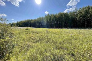 Property for Sale, 3 Beachside Es, Rural Wetaskiwin County, AB
