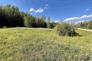 Commercial Land for Sale, 3 Beachside Es, Rural Wetaskiwin County, AB