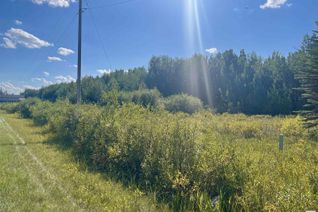 Commercial Land for Sale, 1 Beachside Es, Rural Wetaskiwin County, AB