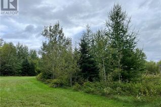 Commercial Land for Sale, 2 Acres Craigville Road, Miramichi, NB