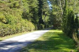 Land for Sale, 106 Springhill Rd, Port McNeill, BC