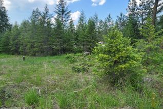 Vacant Residential Land for Sale, Lot 2 Highway 395, Grand Forks, BC